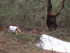 Survival Training